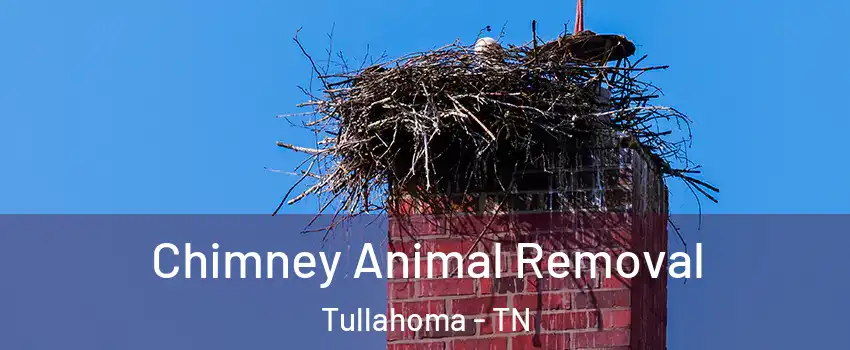  Chimney Animal Removal Tullahoma - TN