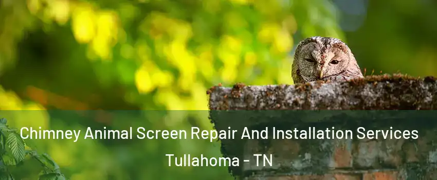  Chimney Animal Screen Repair And Installation Services Tullahoma - TN