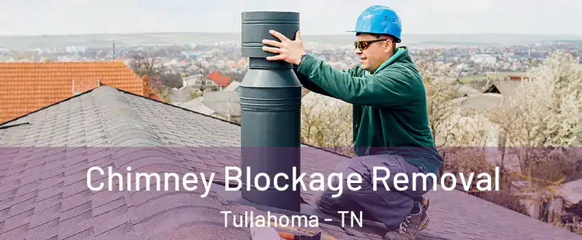  Chimney Blockage Removal Tullahoma - TN