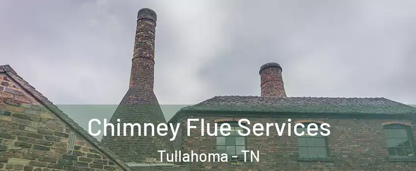  Chimney Flue Services Tullahoma - TN