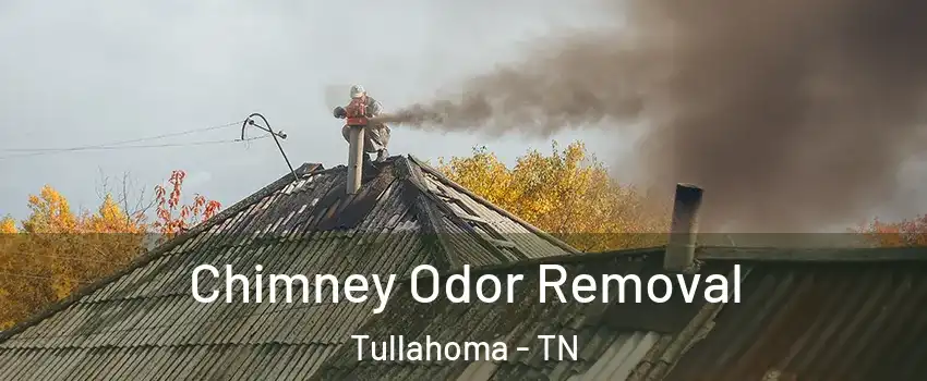  Chimney Odor Removal Tullahoma - TN