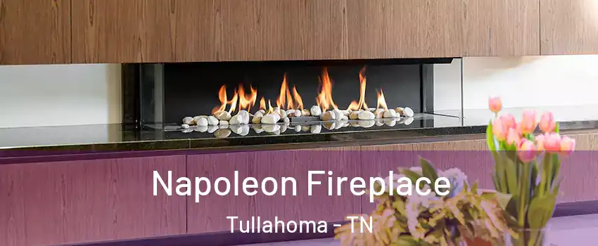  Napoleon Fireplace Tullahoma - TN